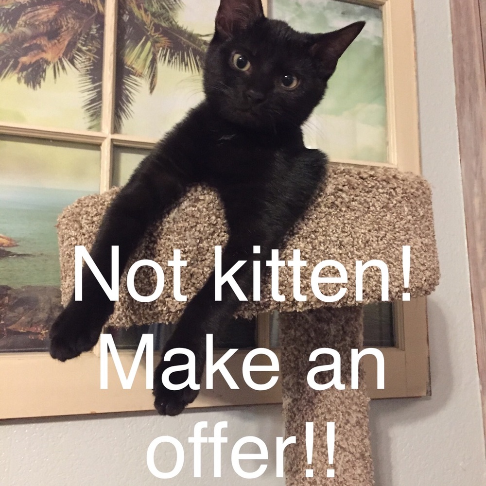 All offers Welcomed!